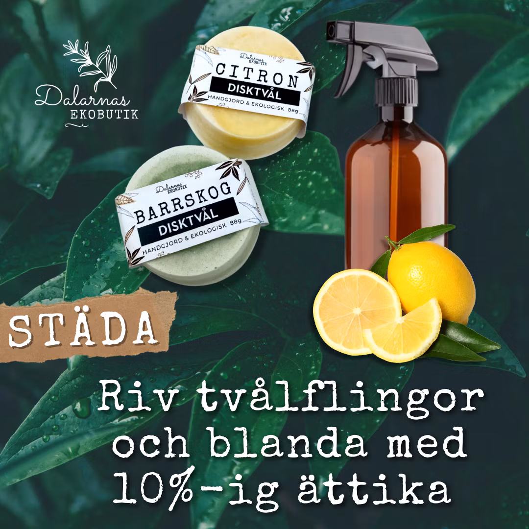 Tvätt, Städ & Disktvål Barrskog