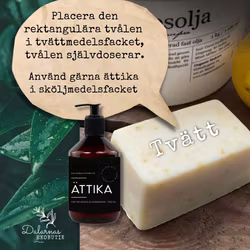 Tvätt, Städ & Disktvål Barrskog