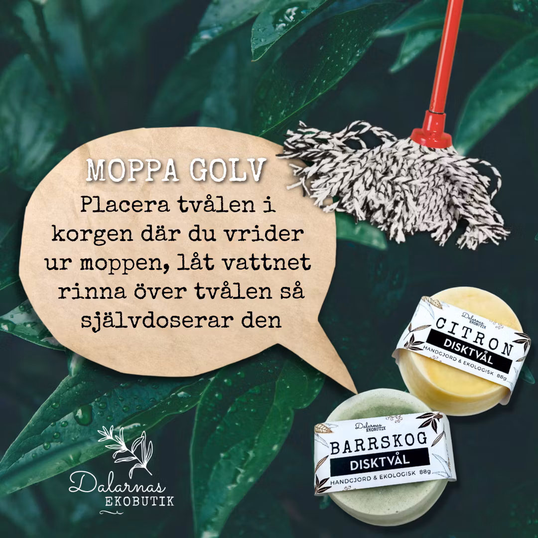 Tvätt, Städ & Disktvål Barrskog