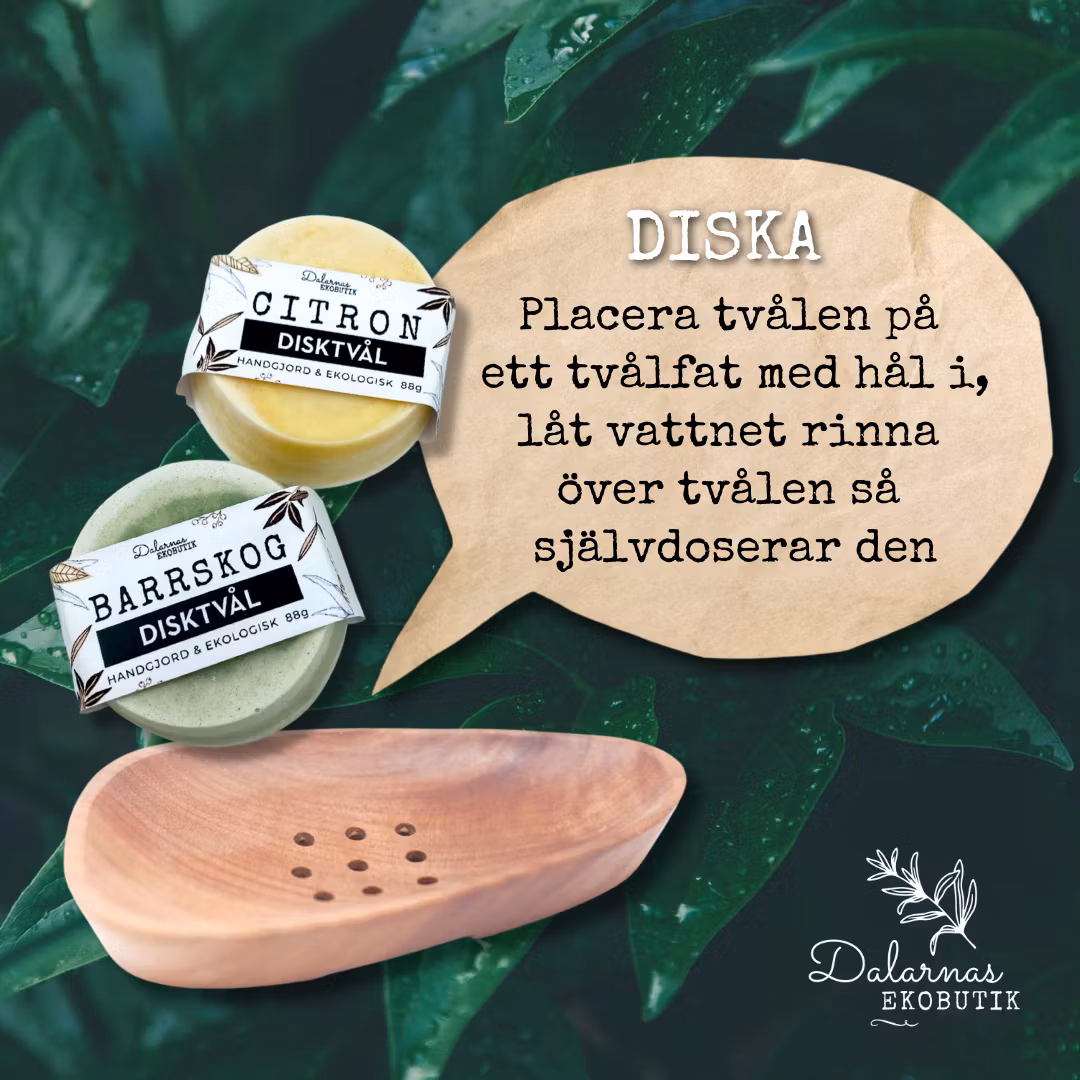 Tvätt, Städ & Disktvål Barrskog