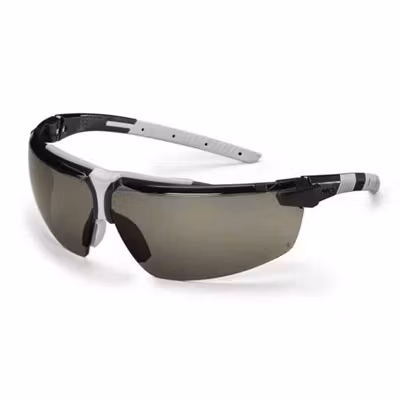 Skyddsglasögon UVEX I3 9190