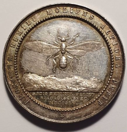 Fallén, Karl Fredrik, 1855