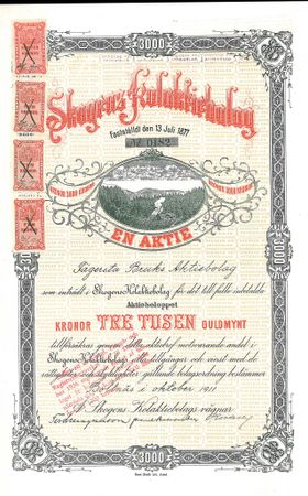 Skogens Kol AB, 1911
