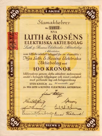 Nya Luth & Rosens Elektriska AB, 100 kr