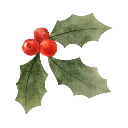 Eteriskolja - Christmas 10ml