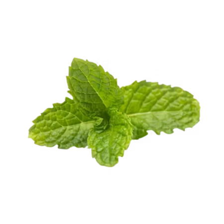 Eteriskolja - Pepparmint 10ml