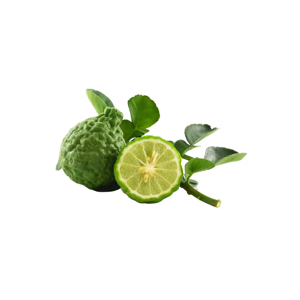 Essential oil - Bergamot 10 ml