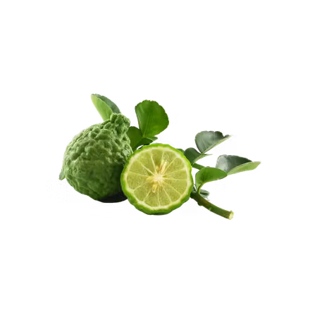 Eteriskolja - Bergamot 10 ml