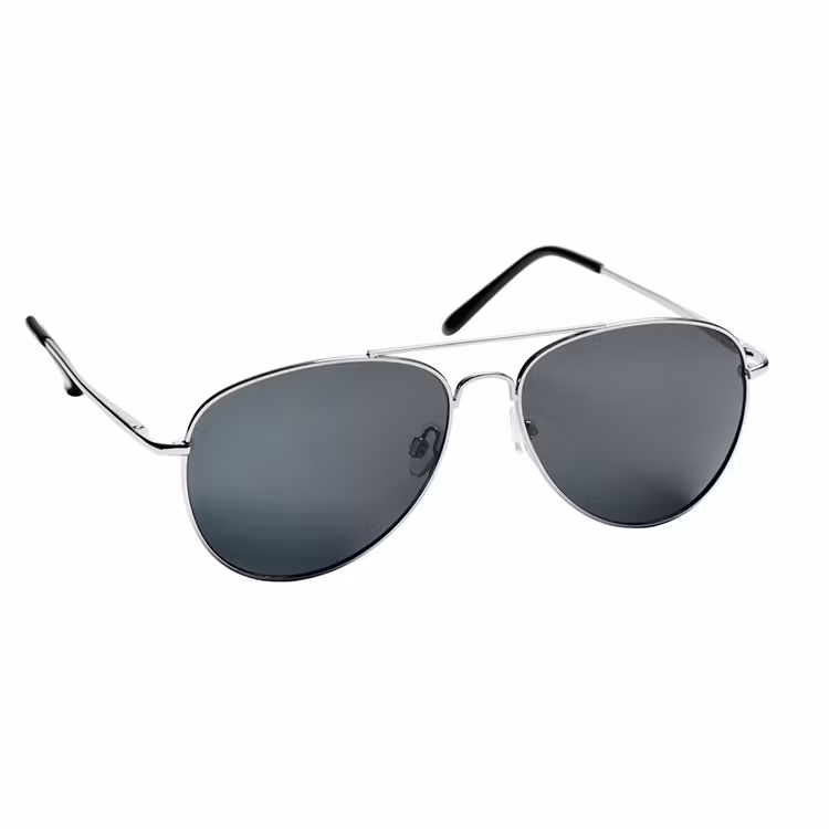 Haga Eyewear Polarized Toronto Silver