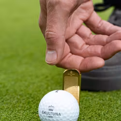 Skultuna Greenlagare Gold plated