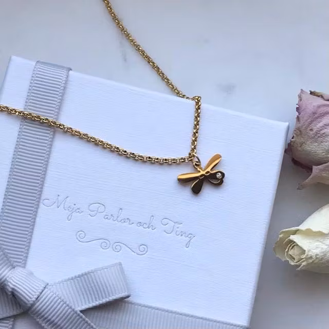 Halsband i rostfritt stål