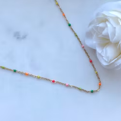 Halsband i rostfritt stål