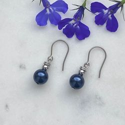 Örhängen - titan och Swarovski