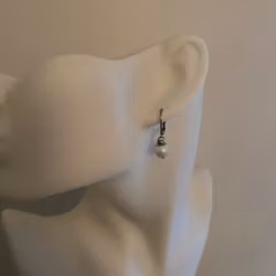 Örhängen - Swarovski