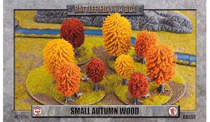 Small Autumn Wood