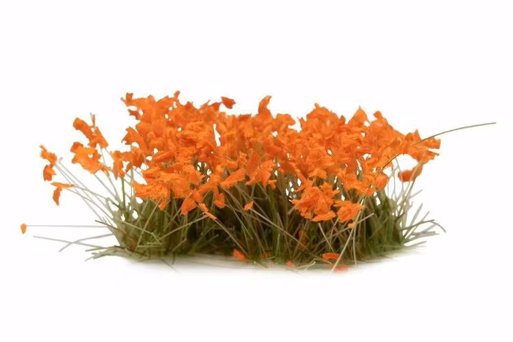 Orange Flowers