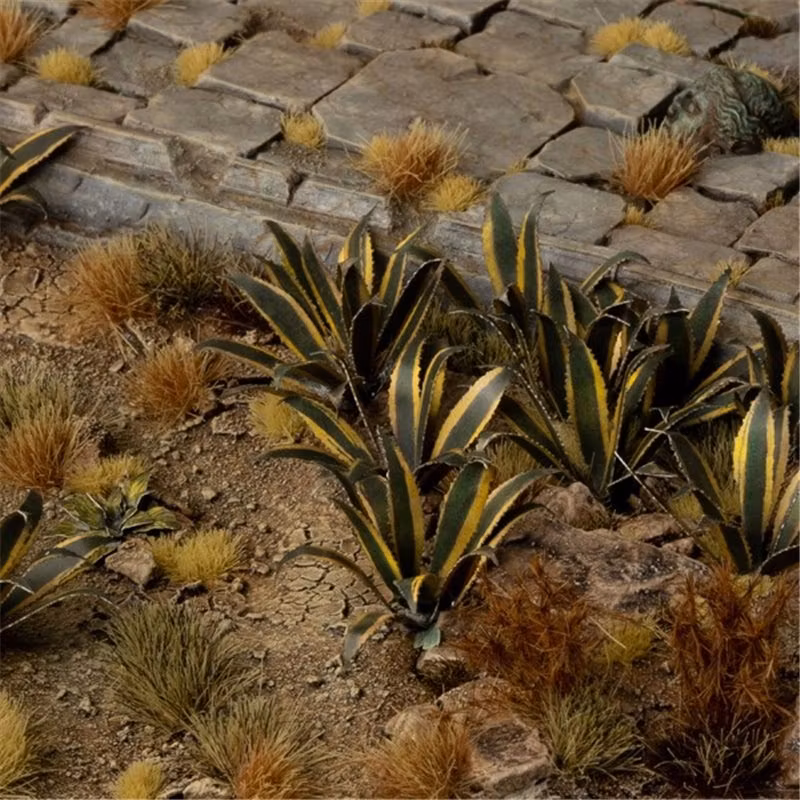 Agave