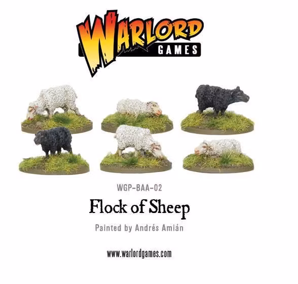 Flock of Sheep