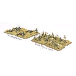 Airmobile Machine-gun and Mortar Platoons