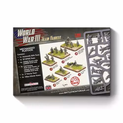 Mechanised Infantry Platoon (plastic)