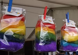 Svensk regnbågsull -pride