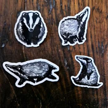 4-pack grävlingsklistermärken (samarbete med Vildliv)