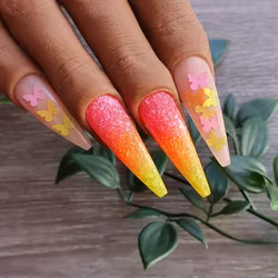 Papillon Neon Mix