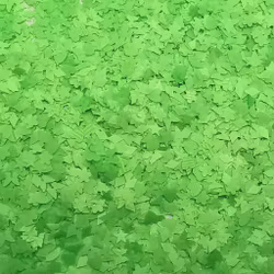 Neon Smash Green
