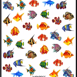 Stickers Tropical Fish