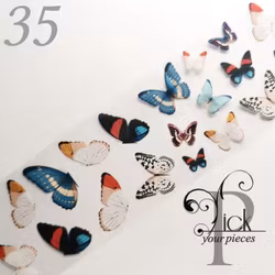Folie Butterflies