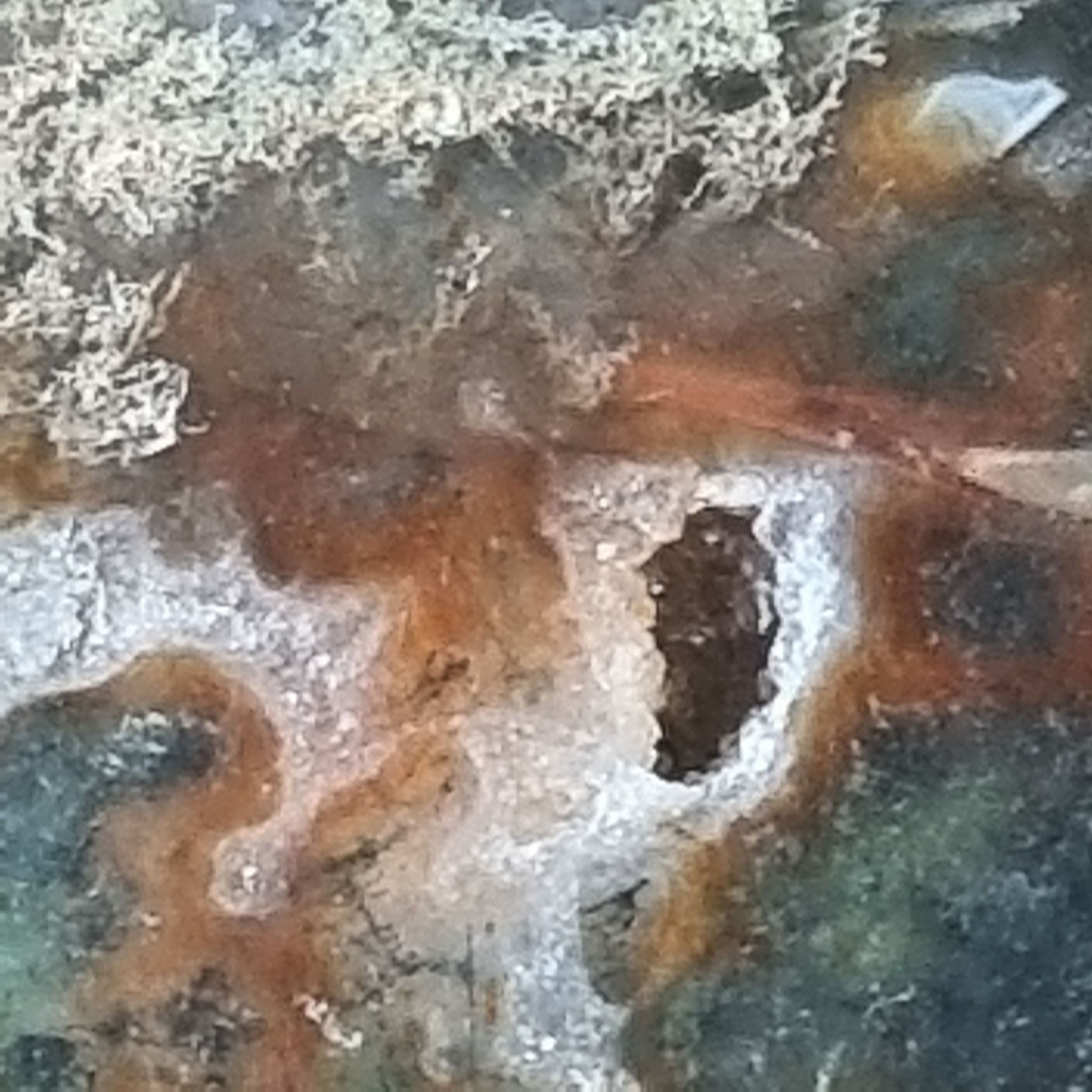 Hjärta Röd Mossagat
