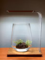 Wabi kusa LED stativ