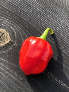 Caribean Red