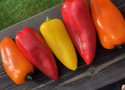 Snackpaprika