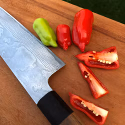 Aji Benito (Capsicum Baccatum)