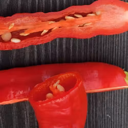Aji Mojo (Capsicum baccatum)