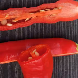 Aji Mojo (Capsicum baccatum)