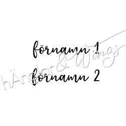 PERSONLIG - 169  Rak - 2st förnamn