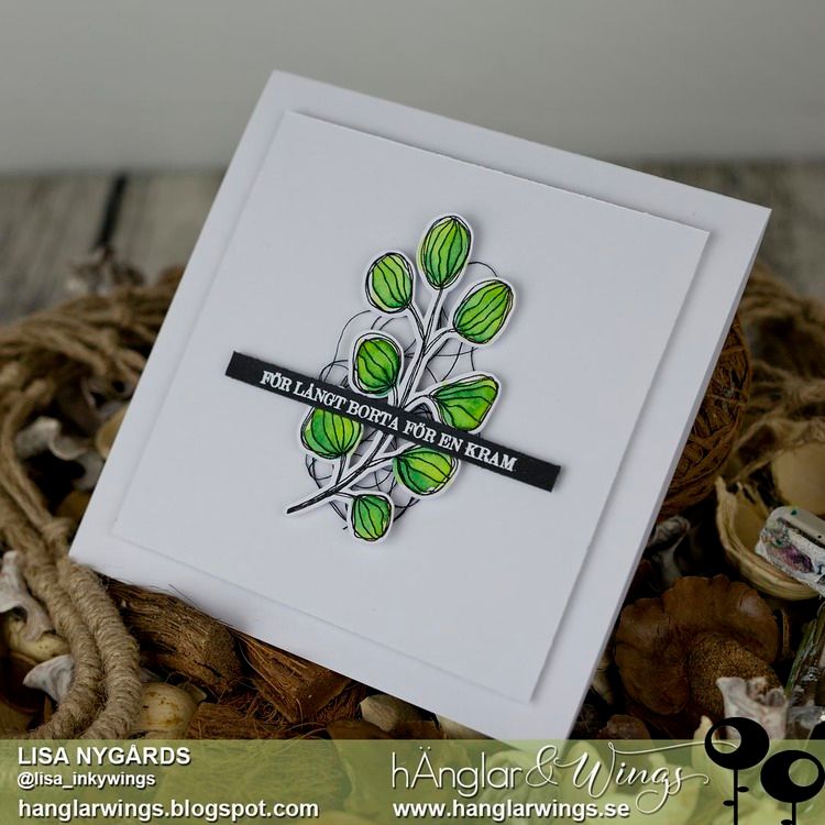 Clear Stamps - Bladranka / Foliage
