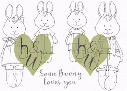 DIGI - Kaninfamilj (bundle)