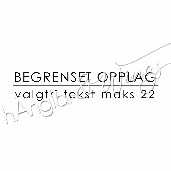 PERSONLIG - 292   Begrenset opplag (NORSK)
