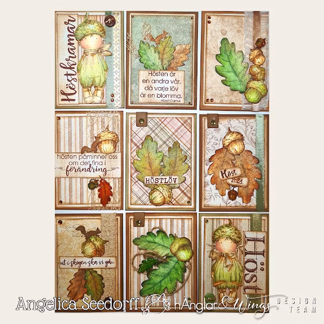 Clear Stamps - Ekollon