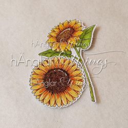 RETIRED - Clear Stamps - Solorosor / Solo Sunflowers A7