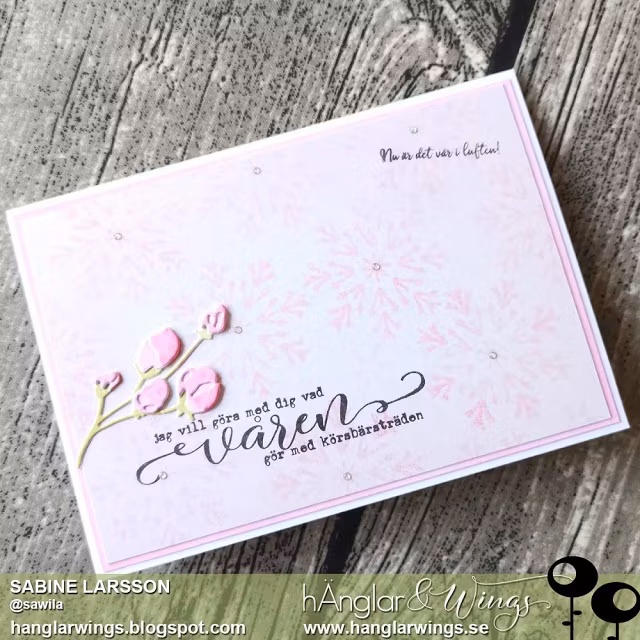 Clear Stamps - Stora Texter Vår / Big sentence Spring  A7