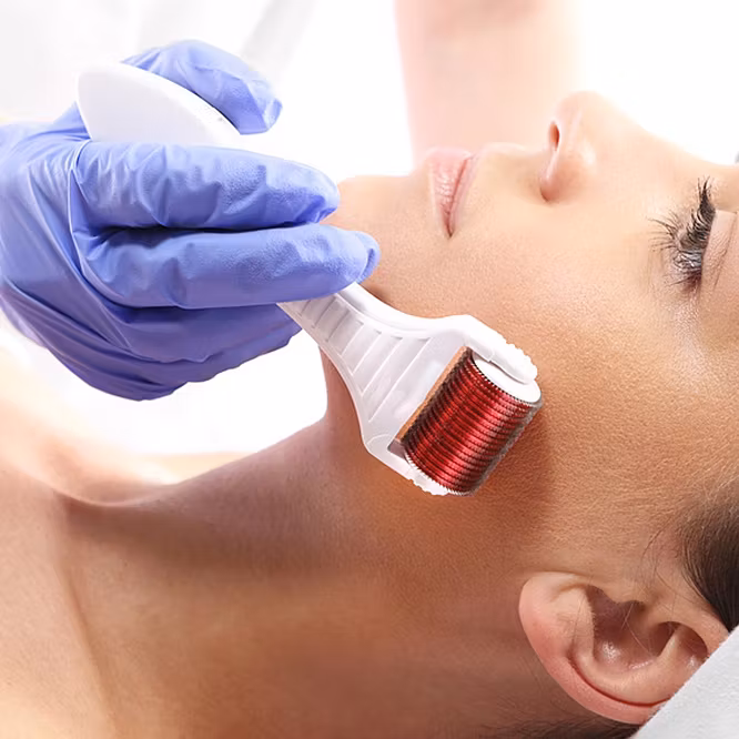 Derma rulle (3 stk)