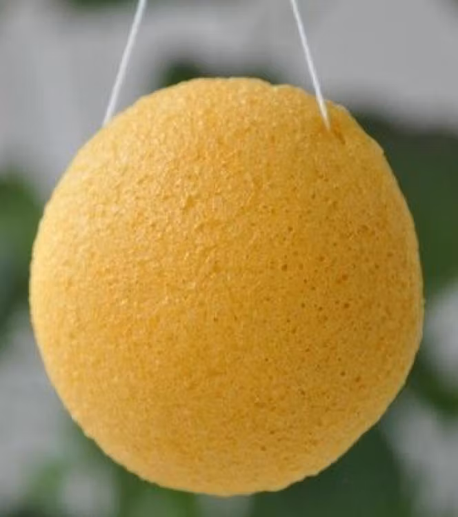 Gul konjac svamp