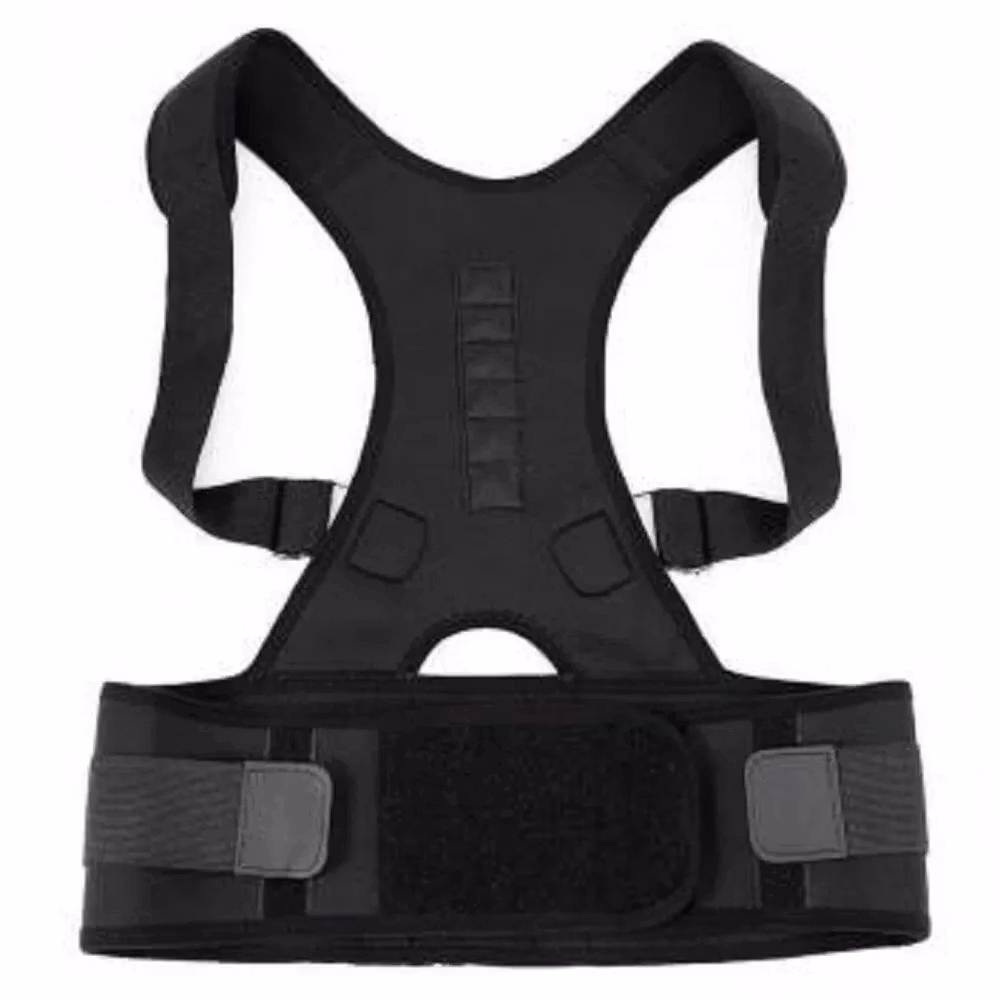 Holdningsvest
