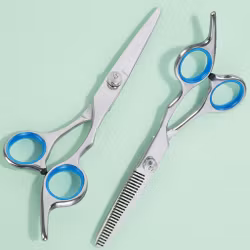 Frisørsaks (2 stk) Sølv