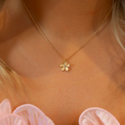 Catwalk Exclusive - Halsband Stardust Flower Förgyllt Silver