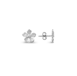 Catwalk Exclusive - Örhängen Stardust Flower Rhodinerat Silver